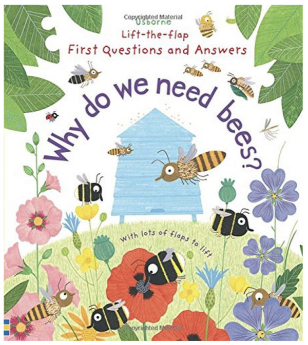 Usborne Lift-the-Flap First Questions and Answers Why Do We Need Bees? Hardcover Online Hot Sale