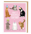 Puurfect Cats Birthday Card For Cheap