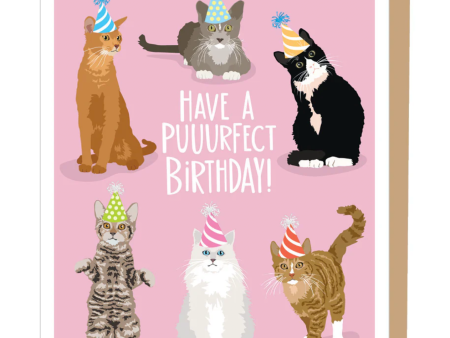 Puurfect Cats Birthday Card For Cheap