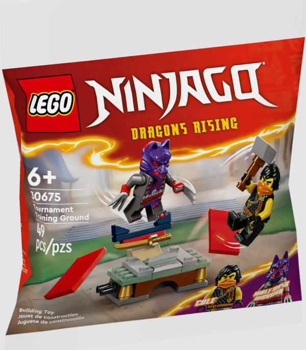 Lego Ninjago Dragon s Rising Tournament Training Ground 49 Pieces 6+ Online Sale