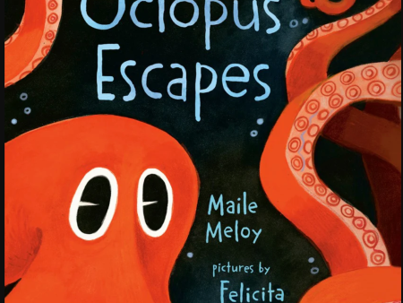 The Octopus Escapes Board Book Online Hot Sale