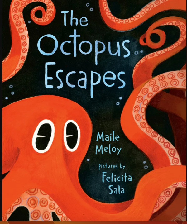 The Octopus Escapes Board Book Online Hot Sale