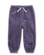 Tea Collection Easy Fit Velour Baby Joggers Shadow Online