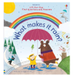 Usborne Lift The Flap First Q&A What Makes It Rain? Hardcover Book on Sale