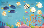 Usborne Wipe-Clean Aquarium Activities Paperback Book Online Sale