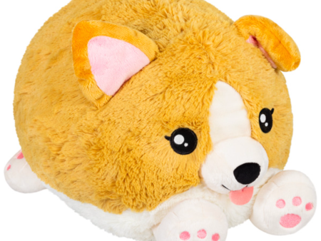 Squishable Baby Corgi For Discount