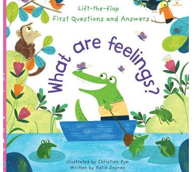 Usborne Lift The Flap What are Feelings? Cheap