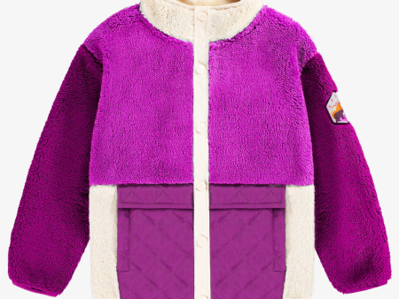 Souris Mini Sherpa Purple Color Block Vest With High Collar Supply