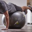 Restore Self-Guided Stability Ball Hot on Sale