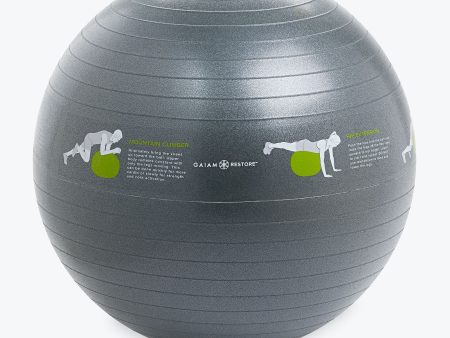 Restore Self-Guided Stability Ball Hot on Sale