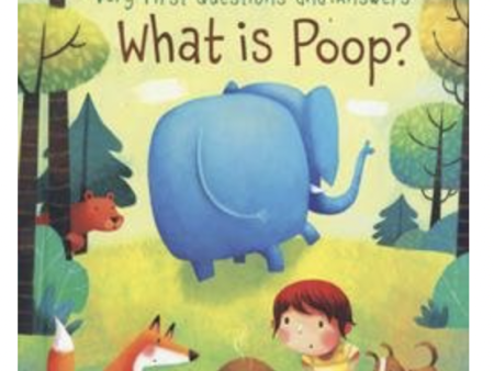 Usborne Lift The Flap What Is Poop? Hardcover Book For Discount