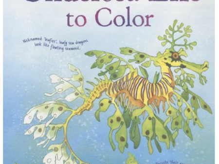 Usborne Undersea Life to Color Supply